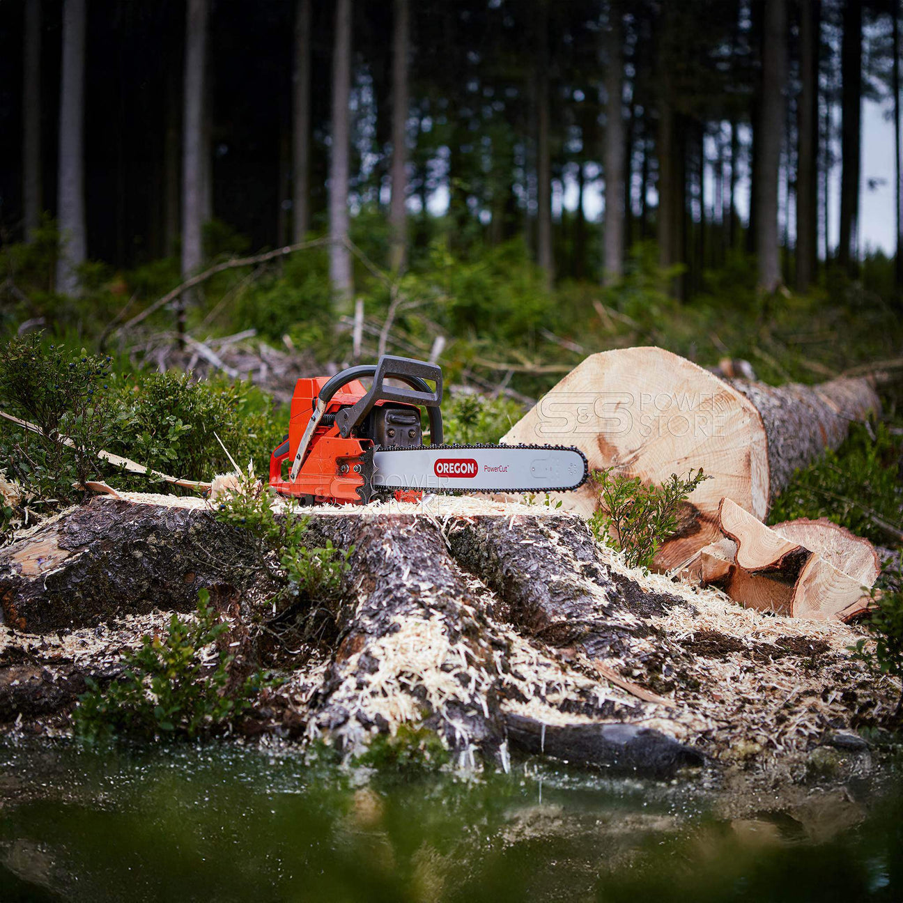 Kettensaege auf einem Baumstumpf Baumstamm am Boden