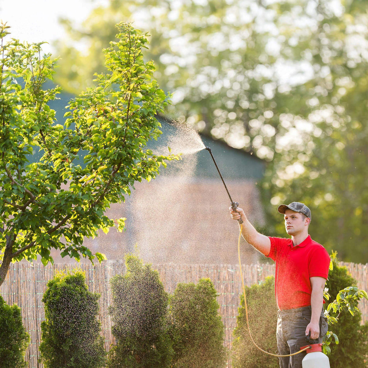 Rückenspritze Druckspritze Gartenspritze Unkrautvernichter Sprühgerät
